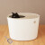 アリスの立体式のウォーム住居は全閉塞猫砂盆トリレ防帯砂室内猫トリレの白い-SサイズPUNT 430