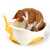 佳楽滋(Gaines)猫砂盆セイント日本入力猫トーレ二階猫砂盆ミニ猫型-グリン