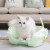 宠沃猫森林(Cat Forest)猫砂盆ミニ猫砂盆猫トニックコーヒカラー(コテを含む)