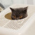 閉塞型の猫砂ドレイの上に入る猫のトリレの消臭猫砂のお盆に、スップ白+コーヒカラーをプロシュートします。